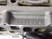 Zylinderkopf R8280191001 Mercedes-Benz ML I (163) SUV 400 4.0 CDI V8 32V (OM628.963)