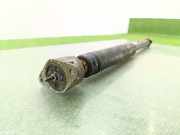 Stoßdämpfer Rechts Hinten 2506201 Ford Fiesta 7 Schrägheck 1.0 EcoBoost 12V Hybrid 155 (BZJA)