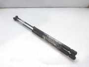 Gasdruckfedern Set Hinten 1U6827550E Skoda Octavia (1U2) Liftback 1.9 TDi GLX,SLX (ALH)