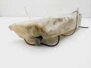 Scheibenwaschbehälter 9628747480 Peugeot 206 (2A/C/H/J/S) Schrägheck 1.9 D (DW8B(WJY))