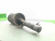 Sto?d?mpfer Rechts Vorne 1202248 Ford FOCUS BERLINA (CAK) Trend 101 CV / 74 KW