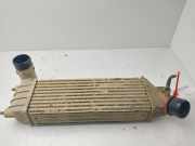 Ladeluftkühler 1489396080 Peugeot SR Pack 107 CV / 79 KW