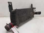 Ladeluftkühler 14461EB360 Nissan Pathfinder (R51) SUV 2.5 dCi 16V (YD25DDTi)
