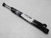 Gasdruckfeder Set Vorne A2217200016 Mercedes-Benz S (W221) Limousine 5.5 S-550 32V (M273.961)