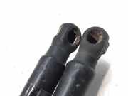 Gasdruckfedern Set Hinten 8178025561 Hyundai ACCENT (LC) GL 5P 86 CV / 63 KW