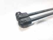 Gasdruckfedern Set Hinten GMB109RB Mercedes-Benz C (W202) Limousine 2.0 C-200 CGI 16V (M111.945)