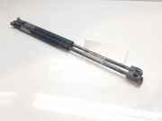 Gasdruckfedern Set Hinten 8200051750 Renault Megane II (BM/CM) Schrägheck 1.6 16V (K4M-760)