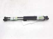Gasdruckfedern Set Hinten 51248254281 BMW 3 serie (E46/4) Limousine 320d 16V (M47-D20(204D1))