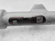 Einspritzdüsen Düsenstock 314002F000 Hyundai iX35 (LM) SUV 2.0 CRDi 16V 4x4 (D4HA)