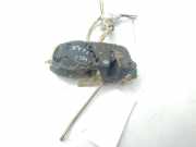 Türschloss Links Vorne 180007870 Suzuki Baleno (GC/GD) Limousine 1.6 16V (G16B)