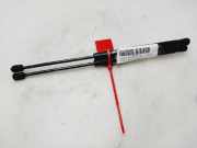 Gasdruckfedern Set Hinten 7700842256 Renault Clio II (BB/CB) Schrägheck 1.5 dCi 68 (K9K-714)