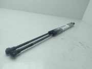 Gasdruckfedern Set Hinten 51248402405 BMW (E53) 3.0d 218 CV / 160 KW