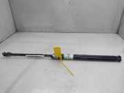 Gasdruckfedern Set Hinten 9806879080 Citroën C4 Picasso (3D/3E) Großraumlimousine 1.2 12V PureTech 130 (EB2DTS(HNY))