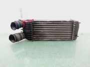 Ladeluftkühler 9680275480 Citroën C3 Picasso (SH) Großraumlimousine 1.6 HDI 16V 110 (DV6TED4(9HZ))