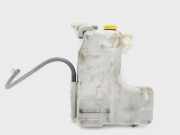 Ausgleichbehälter - - 217102S60A Nissan King Cab/Pickup 4x4 (D22) Pick-up 2.5 dCi 16V (YD25DDTi)