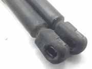 Gasdruckfedern Set Hinten 689500W172 Toyota COROLLA (E12) 1.4 D-4D Terra Berlina 90 CV / 66 KW