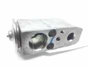 Verschiedenes EXPANSIEKLEP EXPANSIEKLEP 922006N205 Nissan Qashqai (J10) SUV 2.0 dCi (M9R(Euro 5))