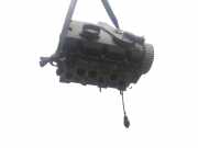 Zylinderkopf 045103373H Seat Ibiza III (6L1) Schrägheck 1.4 TDI 70 (BNM)