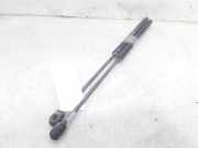 Gasdruckfedern Set Hinten 0051812267 Fiat Bravo (198A) Schrägheck 1.9 JTD Multijet (192.A.8000)