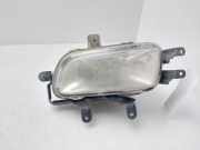 Nebelscheinwerfer Links Vorne 92201H1050 Hyundai Terracan SUV 2.9 CRDi 16V (J3)
