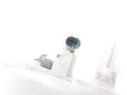 Ausgleichbehälter - - 1685000249 Mercedes-Benz A (W168) Schrägheck 1.7 A-170 CDI 16V (OM668.940)