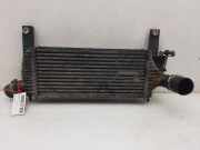 Ladeluftkühler 14461EB360 Nissan (R51) 2.5 dCi XE 171 CV / 126 KW