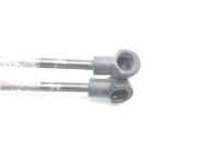 Gasdruckfedern Set Hinten 871803E010 Kia Sorento I (JC) SUV 2.5 CRDi 16V VGT (D4CB)