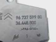 Zündanlaßschalter Ring 9673759980 Citroën DS5 (KD/KF) Schrägheck 5-drs 1.6 HDiF 16V (DV6C(9HR))