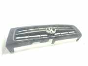 Grill HR630231 Hyundai Galloper II Geländewagen 2.5 TCI (D4BH)