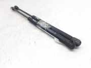 Gasdruckfedern Set Hinten 96540939 Daewoo / Chevrolet Kalos (SF48) Schrägheck 1.2 (B12S1(Euro 4))