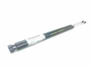 Gasdruckfedern Set Hinten 8200021974 Renault Espace (JK) Großraumlimousine 2.0 dCi 16V 150 FAP . (M9R-740)