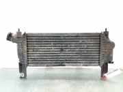 Ladeluftkühler 8ML376746041 Nissan (R51) 2.5 dCi SE 171 CV / 126 KW