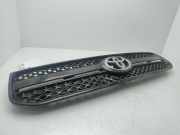 Grill 5311142070 Toyota RAV4 (A2) Geländewagen 2.0 D-4D 16V 4x4 (1CD-FTV)