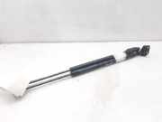 Gasdruckfedern Set Hinten D10E62620A Mazda CX-3 (DJ/DK) SUV 2.0 SkyActiv-G 121 (PEXB) 2018