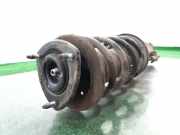 Stoßdämpfer Links Vorne 4160278K01000 Suzuki Grand Vitara II (JT) SUV 1.9 DDiS (F9Q)