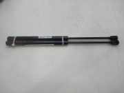 Gasdruckfedern Set Hinten 8200051750 Renault Megane II (BM/CM) Schrägheck 1.9 dCi 120 (F9Q-800)