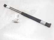 Gasdruckfedern Set Hinten 873193 Peugeot 306 BERLINA 3/4/5 PUERTAS (S2) Graffic 68 CV / 50 KW