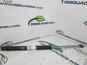 Gasdruckfedern Set Hinten 92561196 Peugeot 205 II (20A/C) Schrägheck 1.1 XE,GE,XL,GL,XR,GR (TU1M(HDZ))