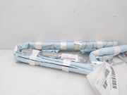 Vorhang Airbag Rechts VOOR VOOR CN15A042D94AC Ford EcoSport (JK8) SUV 1.5 TDCi EcoBlue (XVJD)