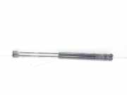 Gasdruckfedern Set Hinten 13220159 Opel Astra G Caravan (F35) Kombi 1.7 CDTi 16V Eco4 (Z17DTL)