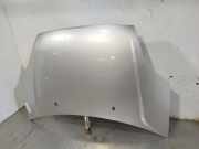 Motorhaube 1531070 Ford (CBK) Newport 68 CV / 50 KW