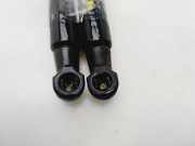 Gasdruckfedern Set Hinten 51247250308 BMW 3 serie (E90) Limousine 318i 16V (N43-B20A)