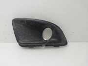 Grill 735436585 Lancia Ypsilon (843) Schrägheck 1.2 (188.A.4000)