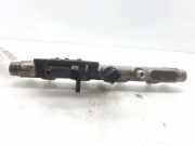 Einspritzd?sen D?senstock 0445214017 Peugeot 406 Coup? (8C) Coup? 2.2 HDI 16V FAP (DW12TED4(4HX))