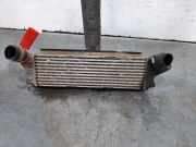 Ladeluftkühler 8200140970 Renault Kangoo (KC) Großraumlimousine 1.9 dCi 4x4 85 (F9Q-790)