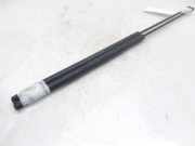 Gasdruckfedern Set Hinten 9630662480 Peugeot 406 (8B) Limousine 2.0 16V ST,SV (EW10J4(RFN))