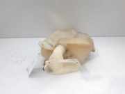 Scheibenwaschbeh?lter 8200050361 Renault Laguna II (BG) Schr?gheck 5-drs 1.9 dCi 120 (F9Q-670)