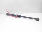 Gasdruckfedern Set Hinten 7700842256 Renault II FASE II (B/CB0) Confort Expression 75 CV / 55 KW