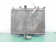 Radiator 133063 Citroën CITROEN BERLINA 2.0 HDi SX 109 CV / 80 KW