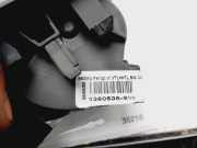 Türgriff Innen Links Vorne 1360535SW BMW 5 serie Touring (E61) Kombi 535d 24V (M57-D30(306D5)) 2018